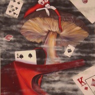 Silvia Melcarne |