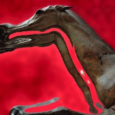 SimAs | Cavallo#1