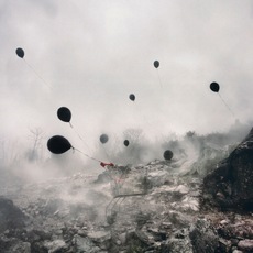 Stefano Parrini | Land Market