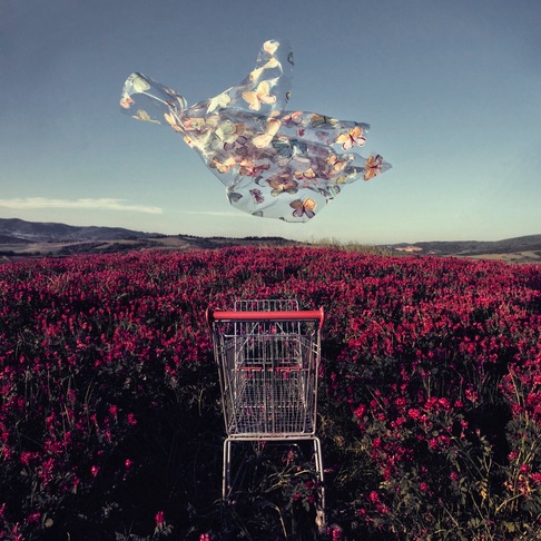Stefano Parrini | Land Market