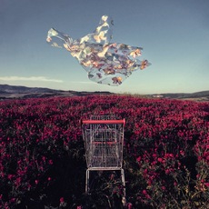 Stefano Parrini | Land Market