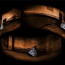 Tiz | wedding ring