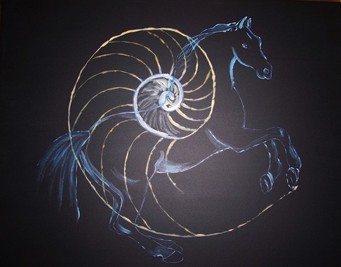Van Tozh | Locomozione animale