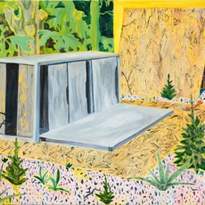 Adriano Valeri | Ecosistema 2