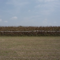 Alessandra Alampi | Senza titolo
