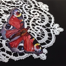 Alessandra Ubezio | Pizzi: Not a flower