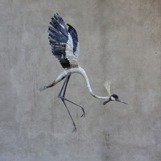 Alice Zanin | verba volant scripta desiliunt, part.