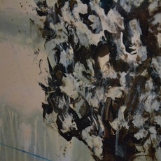 Andrea Greco | Detail - Lacrime di ravvedimento (Anche i fiori piangono)