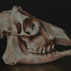 Anna Cirillo | La vendetta è un piatto da servire freddo