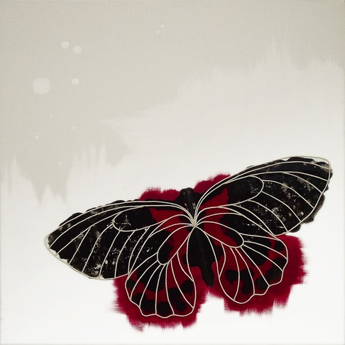Annalisa Di Meo | butterfly 1