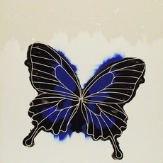 Annalisa Di Meo | butterfly 2