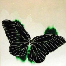 Annalisa Di Meo | butterfly 3