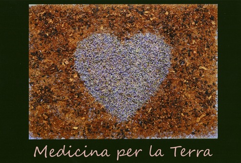 Arianna Ricatto | Medicina per la Terra