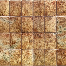 Chiara Ricardi | Finis terrae: topografie incerte