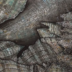 Chiara Ricardi | Mondo cristallizzato