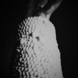 Collettivo Filo logico | La tua indole - serie