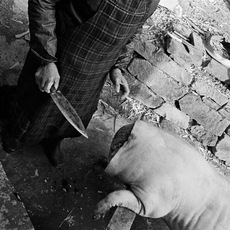 Cosimo Lipparini | Le tradizioni