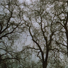 Costanza Gianquinto | Hiver