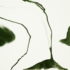 Cristina Piovan | The Rocks