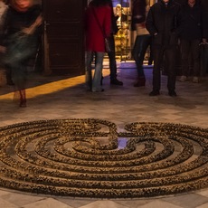 Daniela Spaletra | UNICURSALE