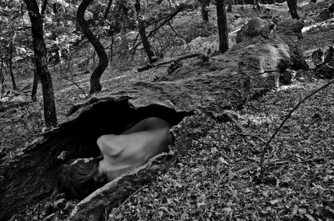Daniele Gussago | Sleeping Dryad