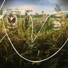 Donata & Marta Zanotti & Azevedo | Al di là del visibile - 3