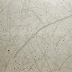 Elisa Bertaglia | Ohne Titel