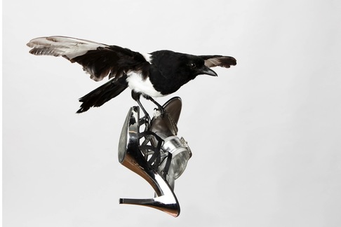 ERa | Take Care of Your Shoes (2014)