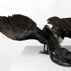 ERa | Come, Black Bird II (2014)