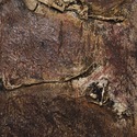 Eva Espinosa | Untitled 4
