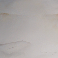 Fabio Adani | Orizzonti Erranti (VIII)