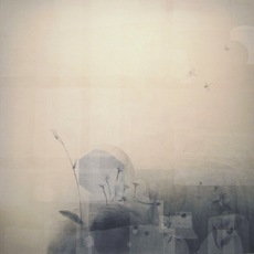 Flavia Decarli | Giardino