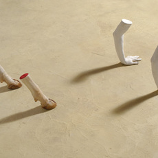 Francesco Finotti | Cow Boy