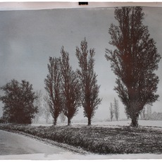 Giorgia Beltrami | Nebbia