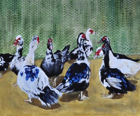 Giulia Giacomelli | Le anatre mute