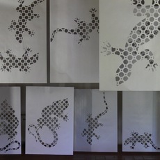Giuliana Natali | Salamandre (installazione)