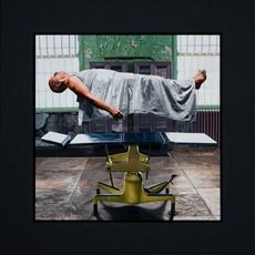 Ira Upin | Zero Gravity