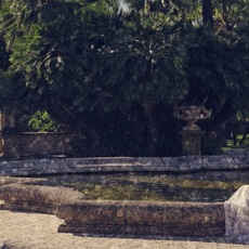 Karolina Bonfiglio | In meditazione - giardini Ormond