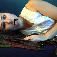 Kika | bugs