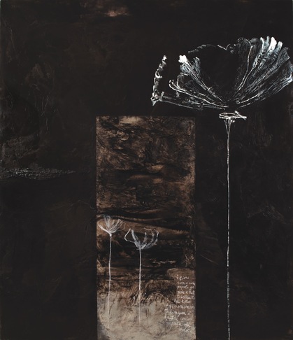 Kirka de Jorio | GIARDINO NERO DI MONTAGNA