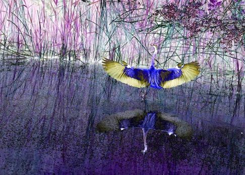 L M Art Luca Marchetti | L’illusione di un volo