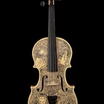 Leonardo Frigo | Primo Violino SUPERBIA