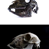 MAD | Anatomia Meccanica Agnello
