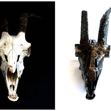 MAD | Anatomia Meccanica Capra