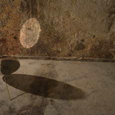 Margarida Alves | Toward the origin