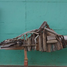 MariPeru | Ictiosauro