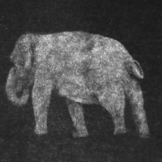 Marta Roberti | there’s an elephant in the room