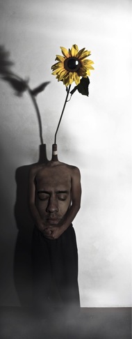 Matteo Verre | Il sogno di un girasole