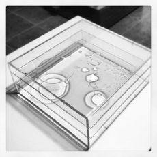 Max Coppeta | Sheer Drops Box