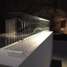 Max Coppeta | Long Drop II